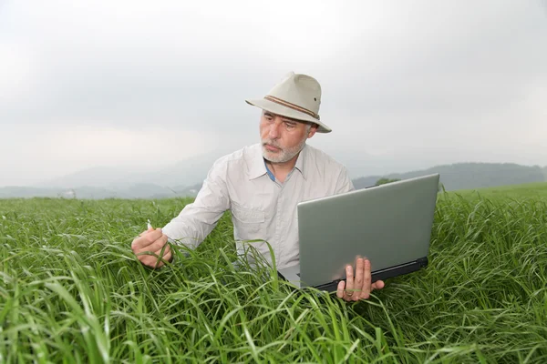 Agricultor examinando colheita com computador portátil — Fotografia de Stock
