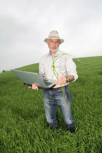 農民の作物でラップトップ コンピューターを調べる — ストック写真