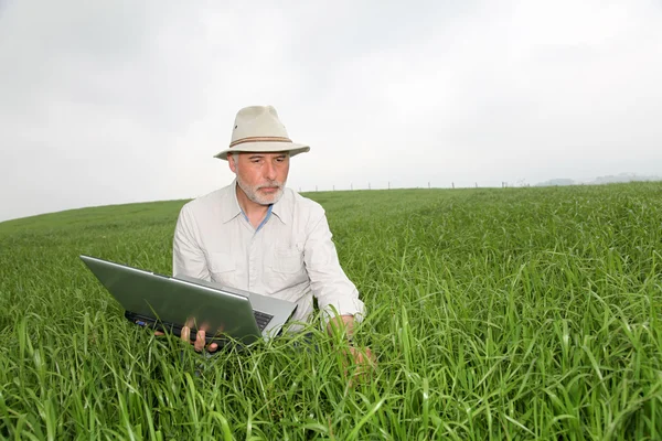 Agricoltore esaminando coltura con computer portatile — Foto Stock
