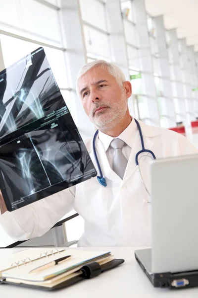 Старший врач проверяет результаты рентгена — стоковое фото