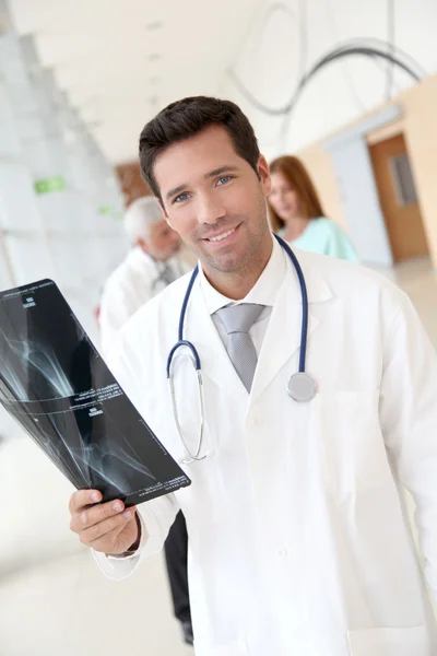 Portrait of young doctor checking X-Ray — Stock Photo, Image