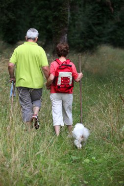 Senior couple rambling in countryside clipart