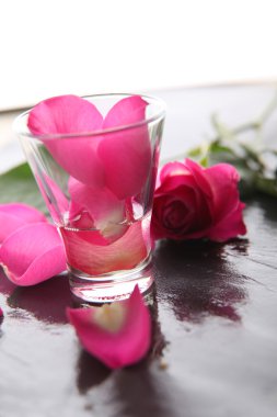 pembe gül yaprakları