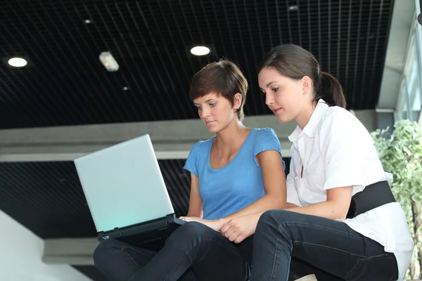 Jonge vrouwen die werkzaam zijn op laptopcomputerdizüstü bilgisayar üzerinde çalışan genç kadınlar — Stok fotoğraf