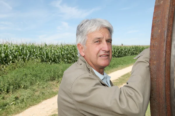 Agronomista em frente ao campo de milho — Fotografia de Stock