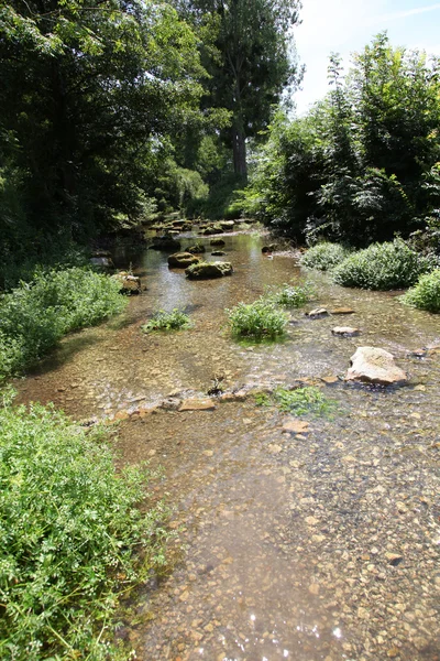 Floden och vegetation — Stockfoto