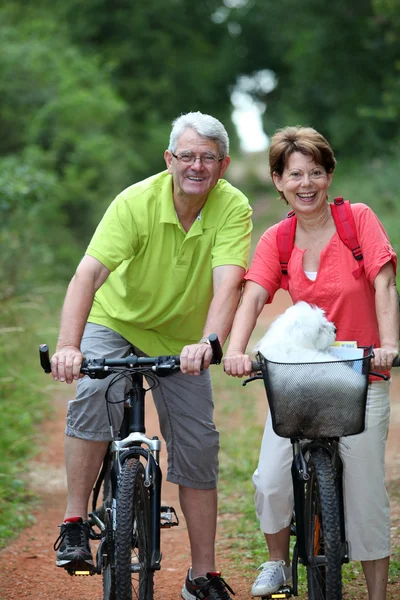 Старша пара їзда на велосипеді — стокове фото