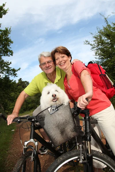 Senior couple riding bicycle — Stock Photo, Image