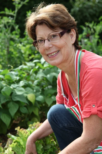 부엌 정원에서 고위 여자 — 스톡 사진
