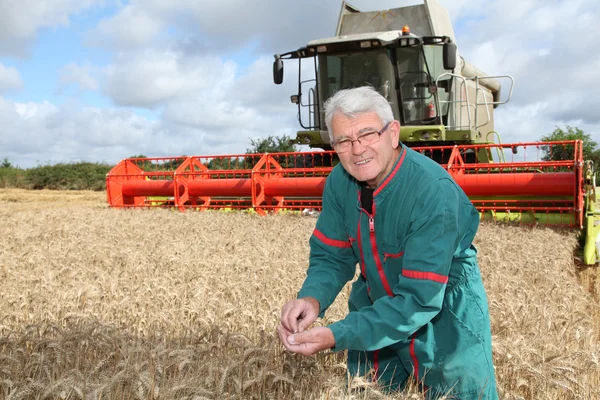 Agricultor en campo de trigo con cosechadora —  Fotos de Stock