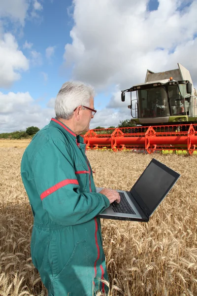 Γεωργός στέκεται στον τομέα του σίτου με υπολογιστή — Φωτογραφία Αρχείου