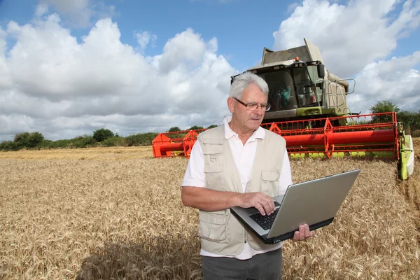 Человек стоит на пшеничном поле с компьютером — стоковое фото