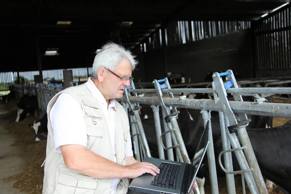 Breeder in barn with computer — Stock Photo, Image