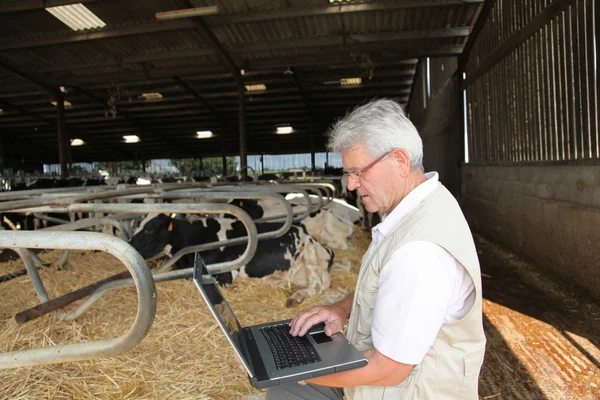 Homme âgé avec ordinateur portable dans la grange — Photo
