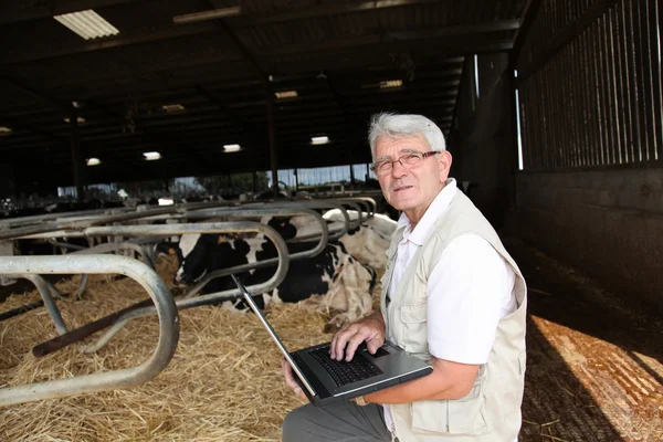 Αγρότης ψάχνει μια τιμές γάλακτος στον υπολογιστή — Φωτογραφία Αρχείου