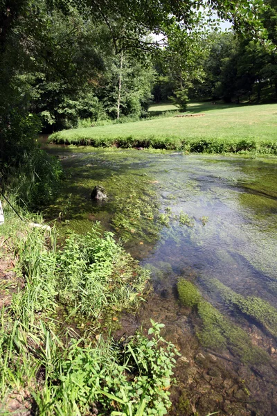 Река и растительность — стоковое фото