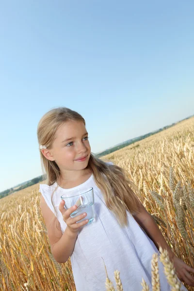 Маленькая девочка на пшеничном поле — стоковое фото