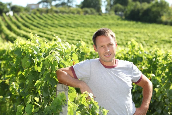 Man standing in vineyard — Stock Photo, Image