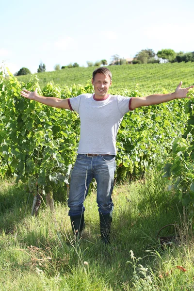 Человек, стоящий в винограднике — стоковое фото