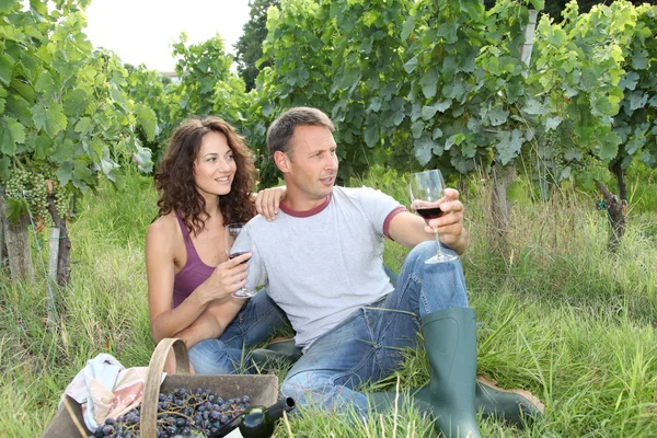 Пара виноградарей в винограднике — стоковое фото