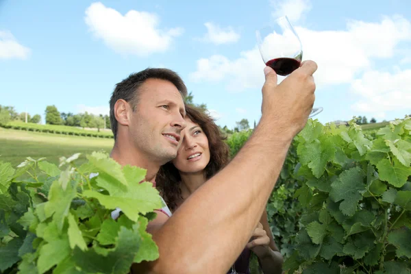 Couple of winegrowers in vineyard — Stock Photo, Image