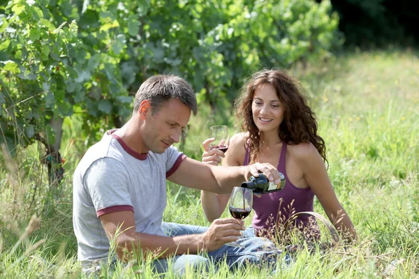 Par winegrowers i vingården — Stockfoto