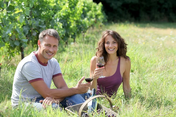 Пара виноградарів у винограднику — стокове фото