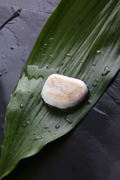 White peeble on green leaf — Stock Photo, Image
