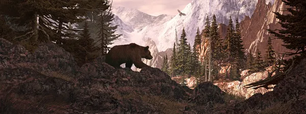 Niedźwiedź Grizzly poszukiwania sylwetka — Zdjęcie stockowe