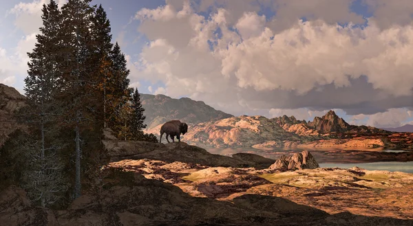 Berg buffalo — Stockfoto