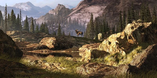 Elk ve Skalistých horách — Stock fotografie
