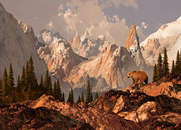 Berg grizzlybjörn — Stockfoto