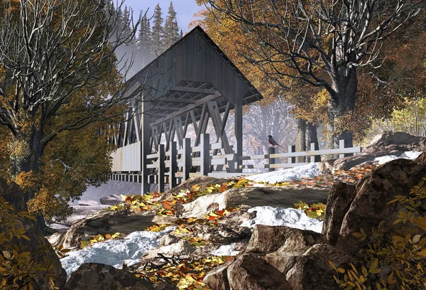 Old Covered Bridge And Robin — Stock Photo, Image