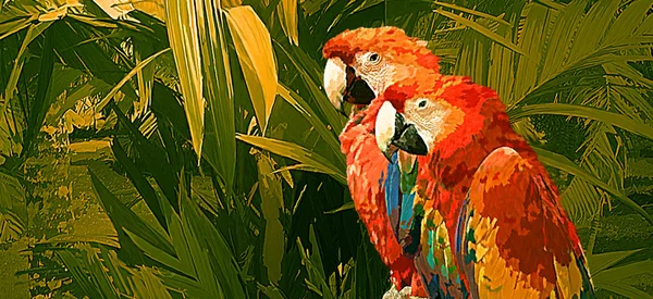 A Pair Of Macaw Parrots