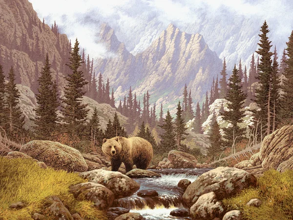 Urso pardo nas rochas — Fotografia de Stock