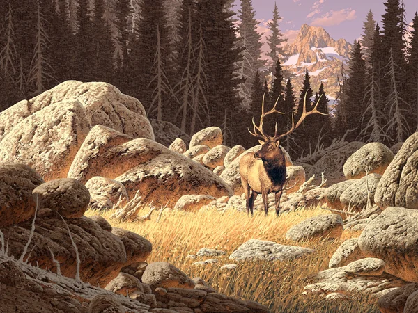 Yellowstone elanden — Stockfoto