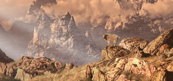 Cabra de montanha nas Montanhas Rochosas — Fotografia de Stock