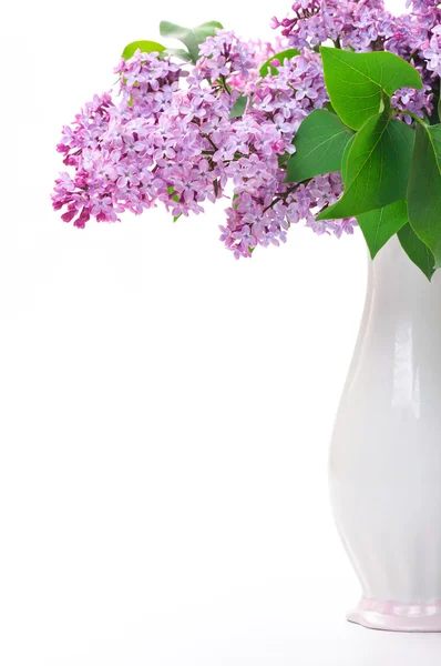 Flower in vase — Stock Photo, Image