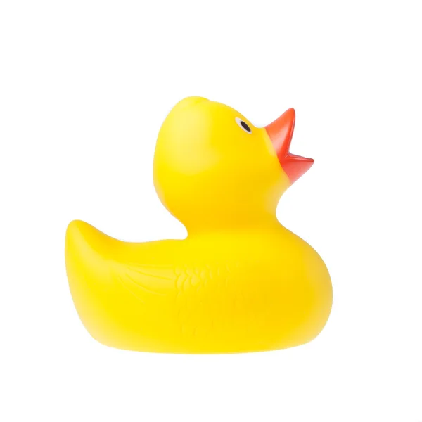 Rubber duck isolated on the white background — Stock Photo, Image