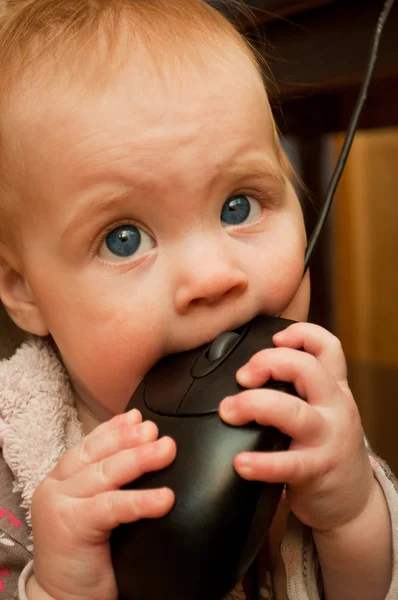 Малыш играет с компьютерной мышью — стоковое фото