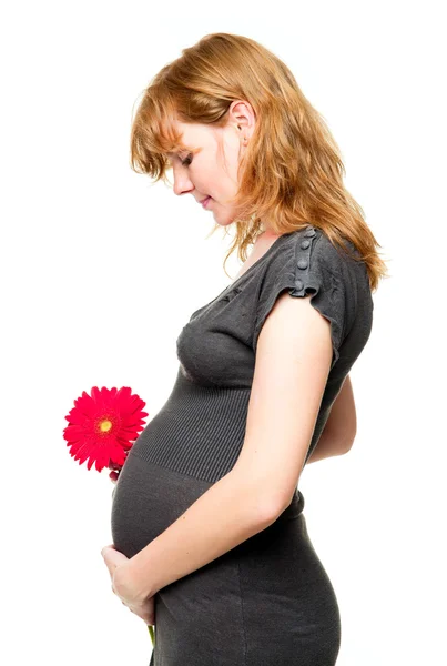 Karnı üzerinde ellerini tutan genç hamile kadın — Stok fotoğraf