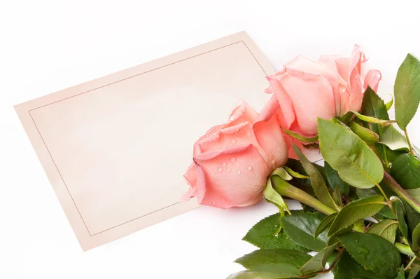 Tarjeta en blanco para felicitaciones con rosas —  Fotos de Stock