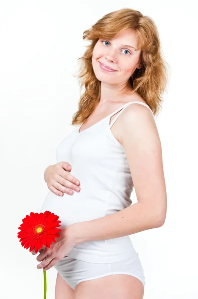 Gros plan d'une femme enceinte avec Gerber — Photo
