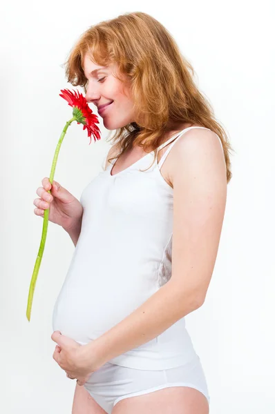 Κοντινό πλάνο της εγκύου γυναίκας με gerber — Φωτογραφία Αρχείου