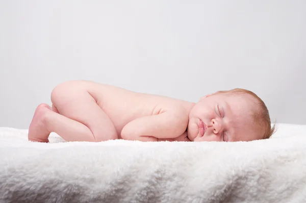 Newborn sleeping child on white blanket Royalty Free Stock Images