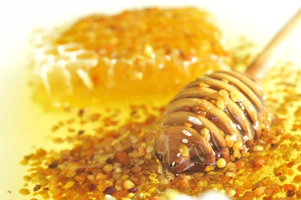 Honig und Pollen — Stockfoto