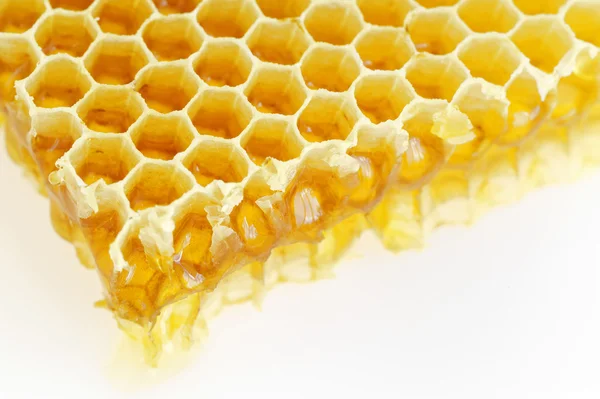 Peine de abeja Imagen De Stock