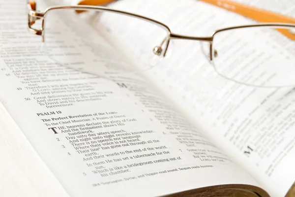 Estudando a Bíblia Sagrada — Fotografia de Stock