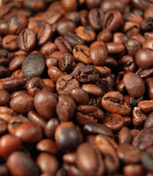 Coffee beans 05 — Stock Photo, Image