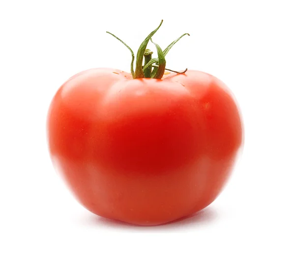 신선한 빨간 토마토 — 스톡 사진